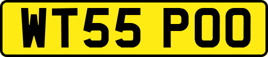 WT55POO