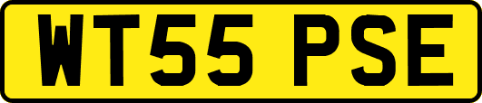 WT55PSE