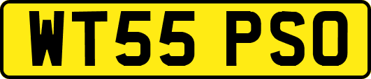 WT55PSO