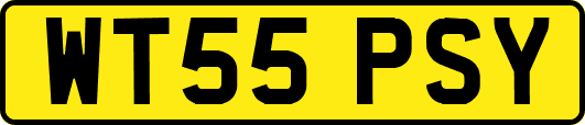 WT55PSY