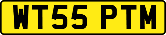 WT55PTM