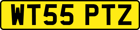 WT55PTZ