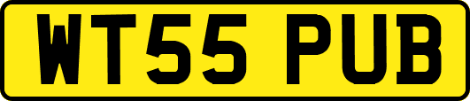 WT55PUB