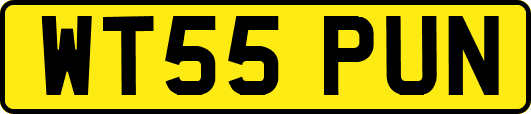 WT55PUN