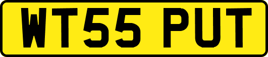 WT55PUT