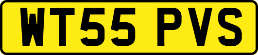 WT55PVS