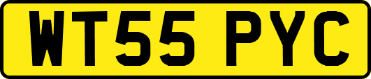 WT55PYC
