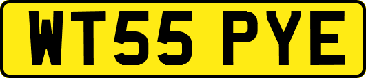 WT55PYE