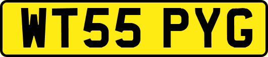 WT55PYG