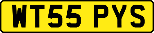 WT55PYS