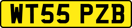 WT55PZB