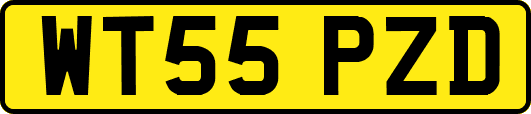 WT55PZD