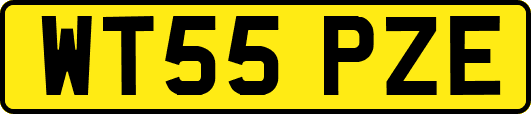 WT55PZE