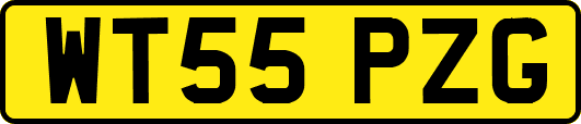 WT55PZG