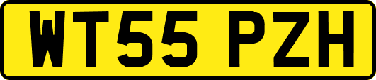 WT55PZH