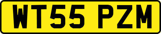 WT55PZM