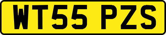 WT55PZS