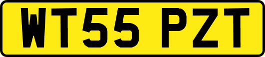 WT55PZT