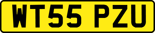WT55PZU