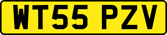WT55PZV