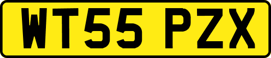 WT55PZX