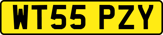 WT55PZY