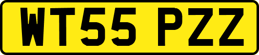 WT55PZZ