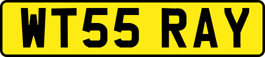WT55RAY