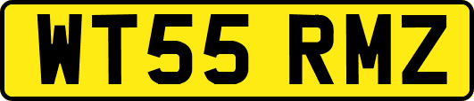 WT55RMZ