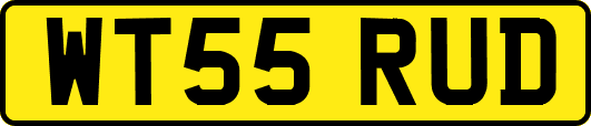 WT55RUD