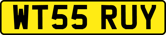 WT55RUY