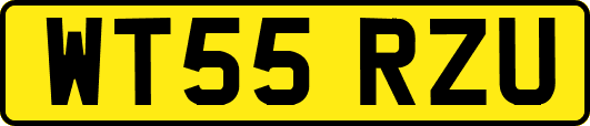 WT55RZU