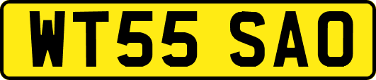 WT55SAO