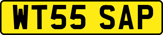 WT55SAP
