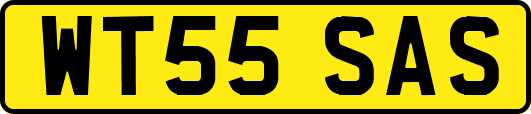 WT55SAS