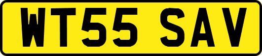 WT55SAV