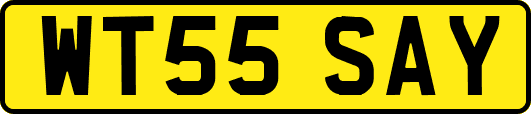 WT55SAY