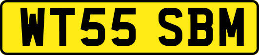 WT55SBM
