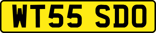 WT55SDO