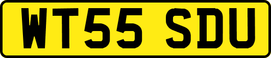 WT55SDU
