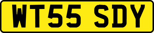 WT55SDY