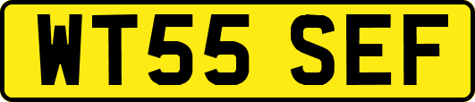 WT55SEF