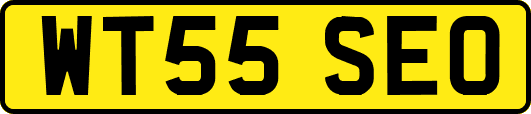 WT55SEO