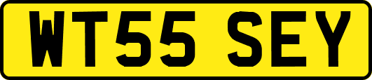 WT55SEY