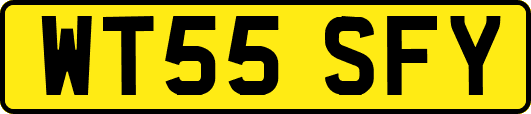 WT55SFY