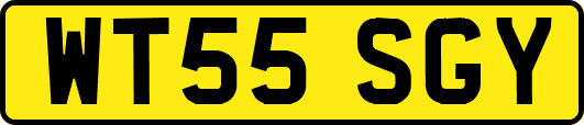 WT55SGY