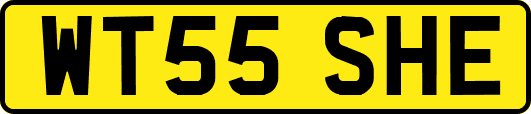 WT55SHE