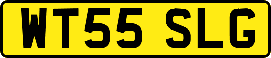 WT55SLG