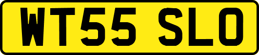 WT55SLO