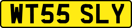 WT55SLY